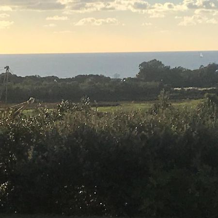 Villa Santoni Porticcio  Dış mekan fotoğraf